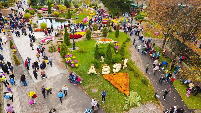 Аренда авто в Харькове